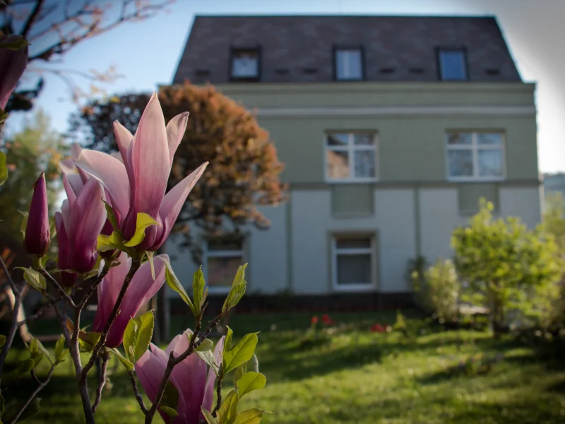 Jagelló Hotel — Pihenés Ajánlat